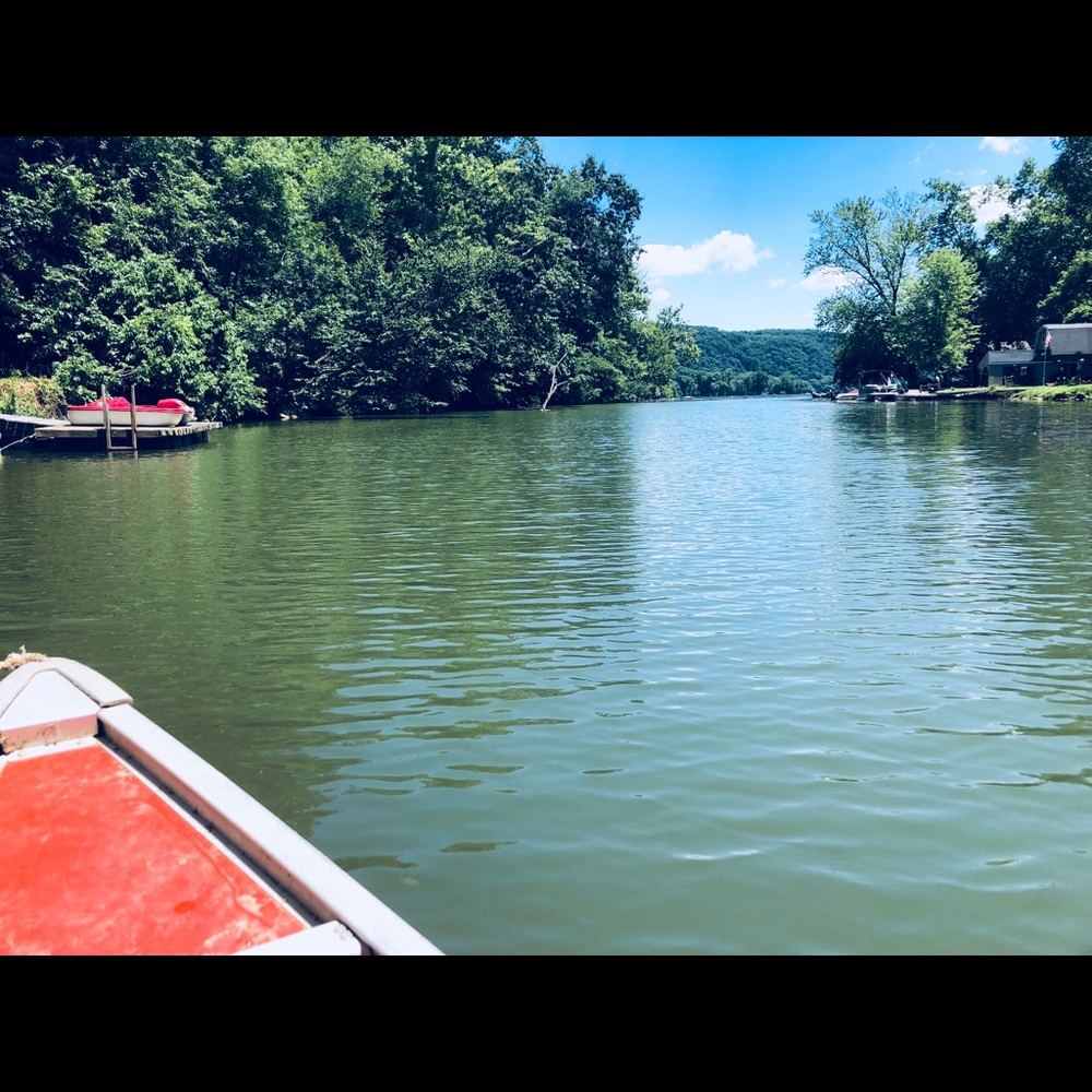 Meet your Posher, Kate